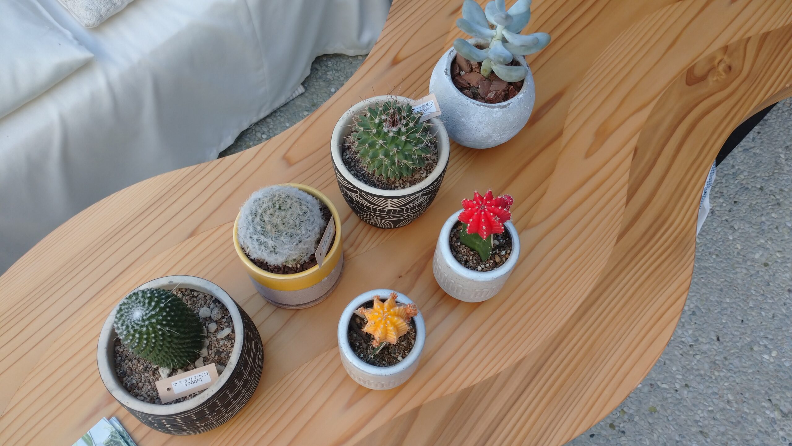 今週（10/17～21）のランチメニュー Piccolo Caffe(ピッコロカフェ) 公式Webサイト